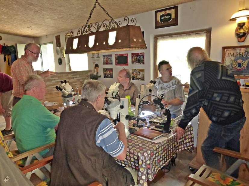 Begutachtung der Mineralien des Fördervereins